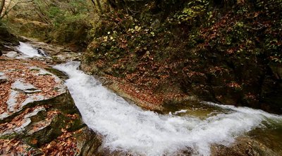 🏞️ 세토가로 계곡(세토가로)